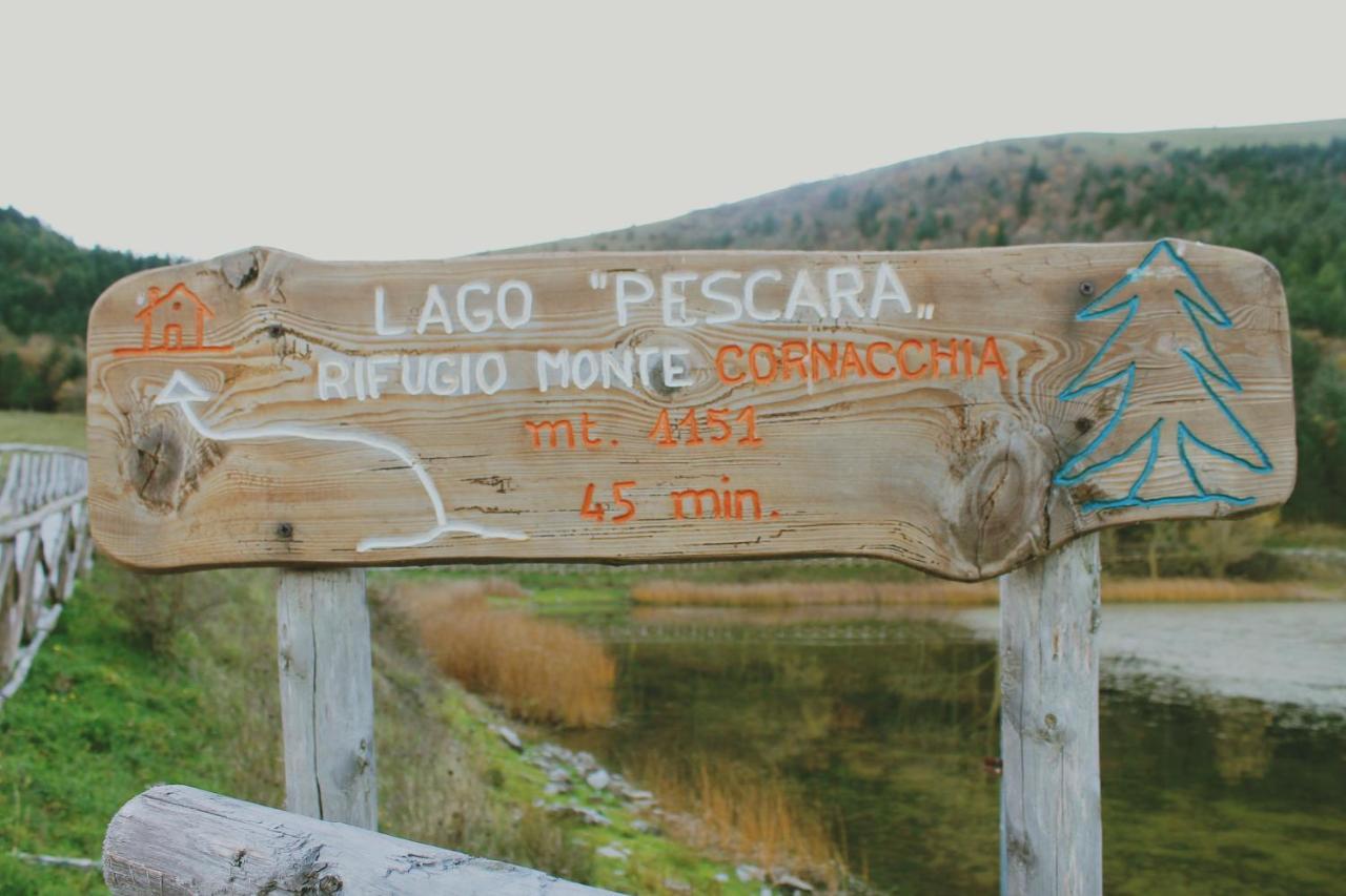 B&B Agora Biccari Екстер'єр фото