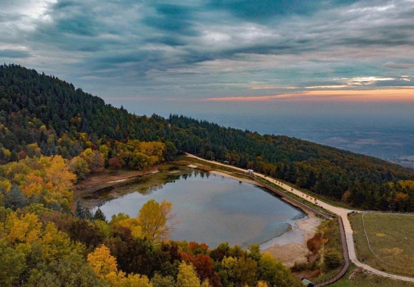 B&B Agora Biccari Екстер'єр фото